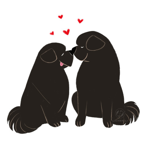 Happy Valentines, Galentines, Chinese Lunar New Year of the Dog (2/16), etc. Whatever it is, go trea