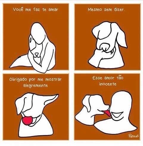 seu-bobo-da-corte:  