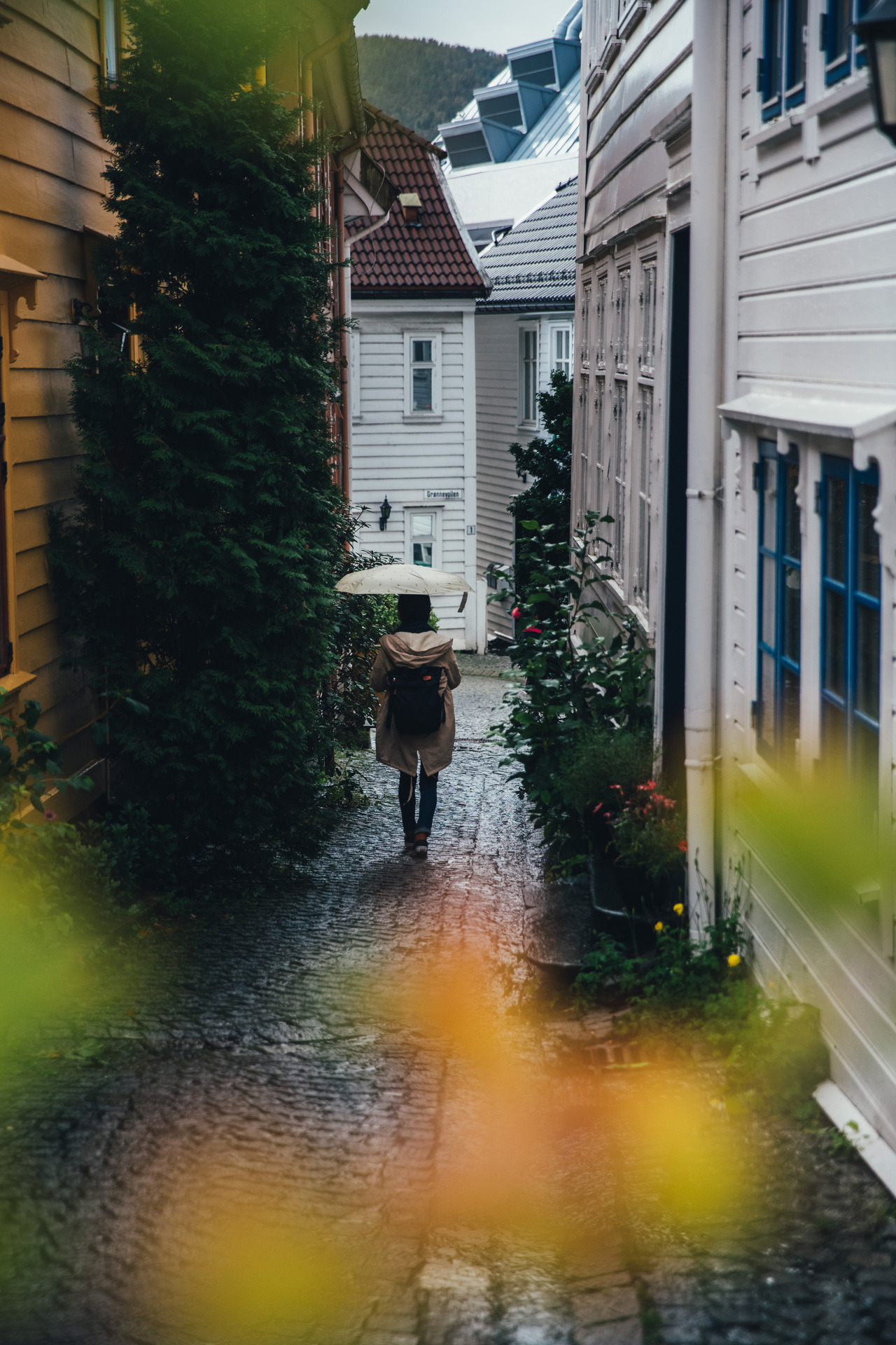 samhorine:  bergen - the rain capital of europe - september 2018