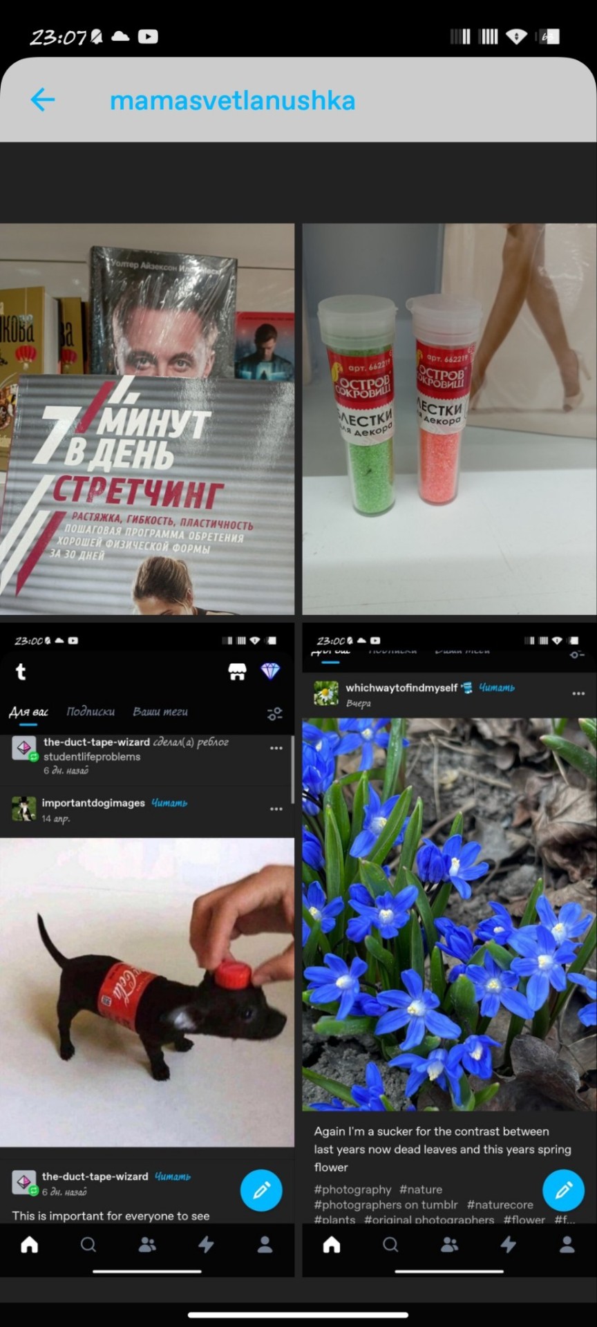 Tumblr media