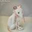 sandycandy7772