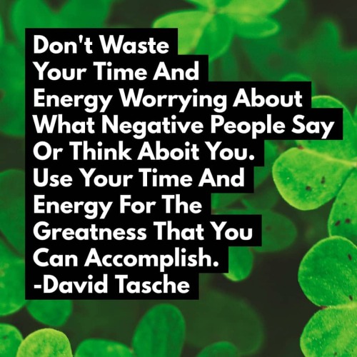 davidtasche