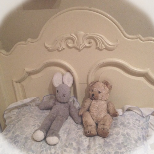 angel-bruises:I bought a lovely vintage teddy today, he’s called Nathaniel, the bunny is called mumm