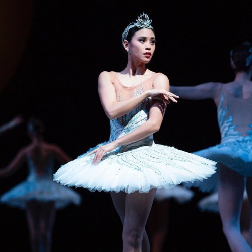 angelica generosa photographed performing as odile/odette in swan lake by angela sterling