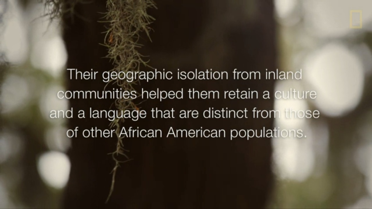 dynamicafrica:  Gullah Storyteller and Historian Theresa Jenkins Hilliard Speaks