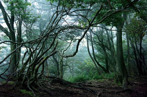 Mt.Oike / Mie Prefecture by Seiuchi F