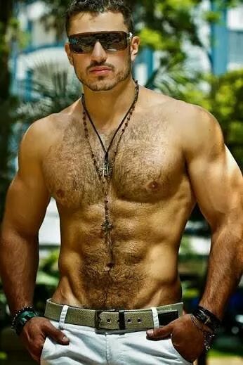 Porn Pics hairy-chests:  Hairy Chest S 