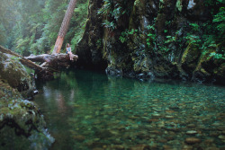 weh-tun:  The Quiet Place by Elizabeth Gadd