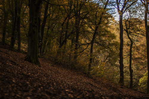 garettphotography:October 15th, 2017 - Hardcastle Crags, West Yorkshire | GarettPhotography