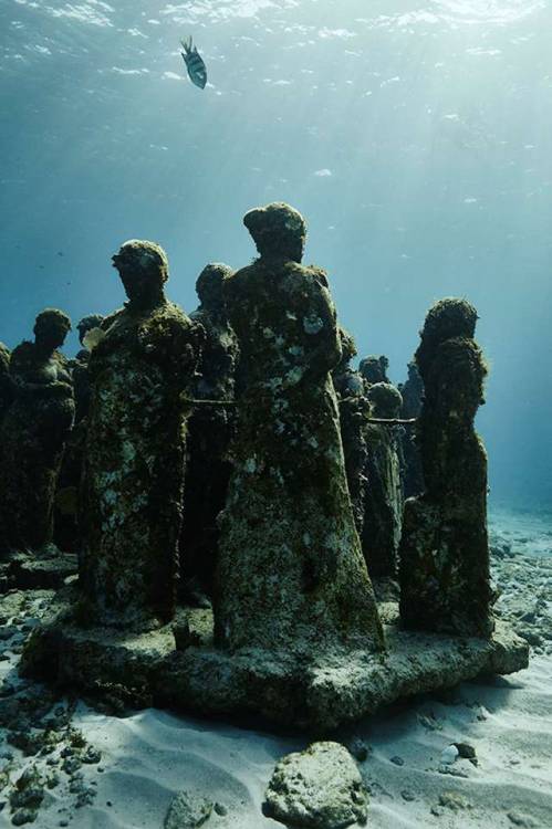 asylum-art:An Underwater Museum with SculpturesEn 2009, dans l’océan de Cancun, le sculpteur Jason deCaires Taylor a conçu une sorte de musée sous l’eau, en installant des sculptures quasi-mythologiques au milieu des requins. La photographe anglaise