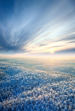 de-preciated:   (via 500px / Frosty sunset by Vladimir Melnikov) Aerial view of winter forest during sunset. 