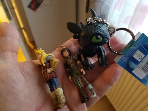 athingofvikings: HTTYD Merch from England trip!