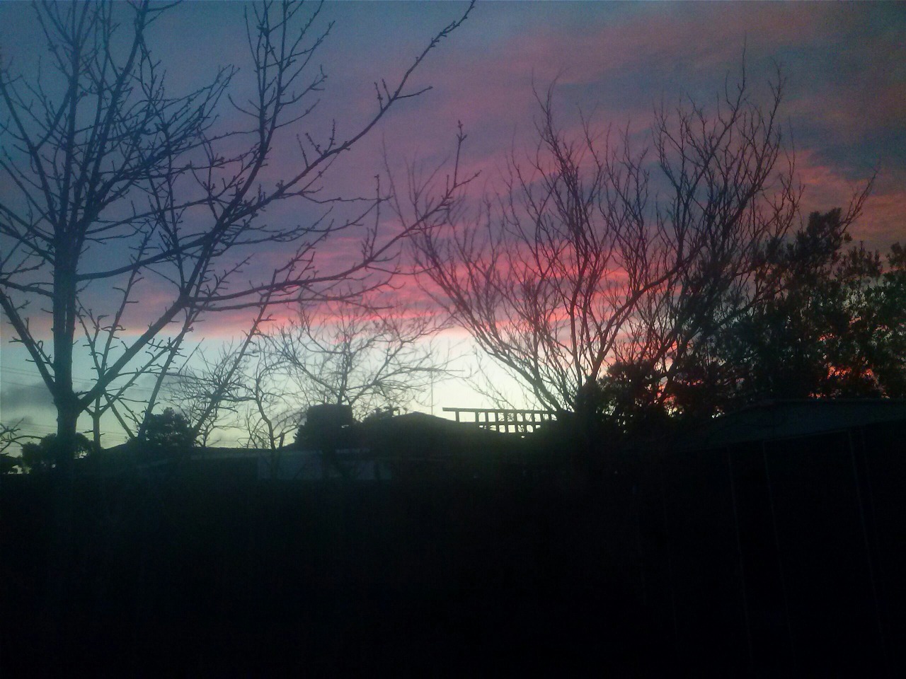 bxwkett:  Winter mornings never fail to amaze me
