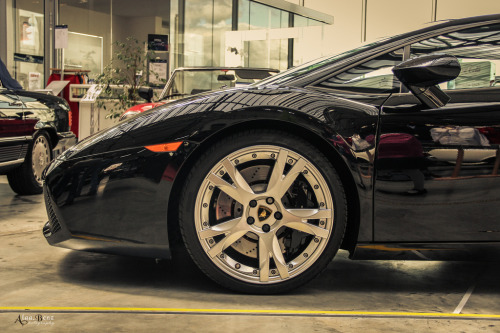 automotivated:  GaLLardo (by Alaa Benz)