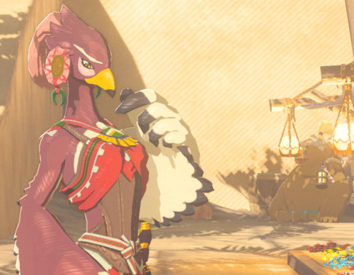 maldrea-shoots-stuff:More Gerudo Town NPC’s