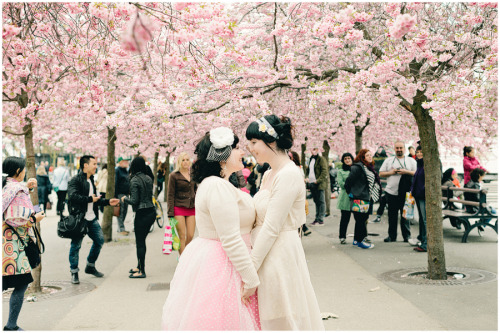 cat-panties:  callmekitto:  themarsvulva:  zitadevi:  Oh my god lesbian weddings always make me crryyy!!! This one is so cute I’m going to die!!!  i’m going to sob wow this is the cutest   THEY COLOR COORDINATED WITH NATURE HOW CUTE IS THAT  This