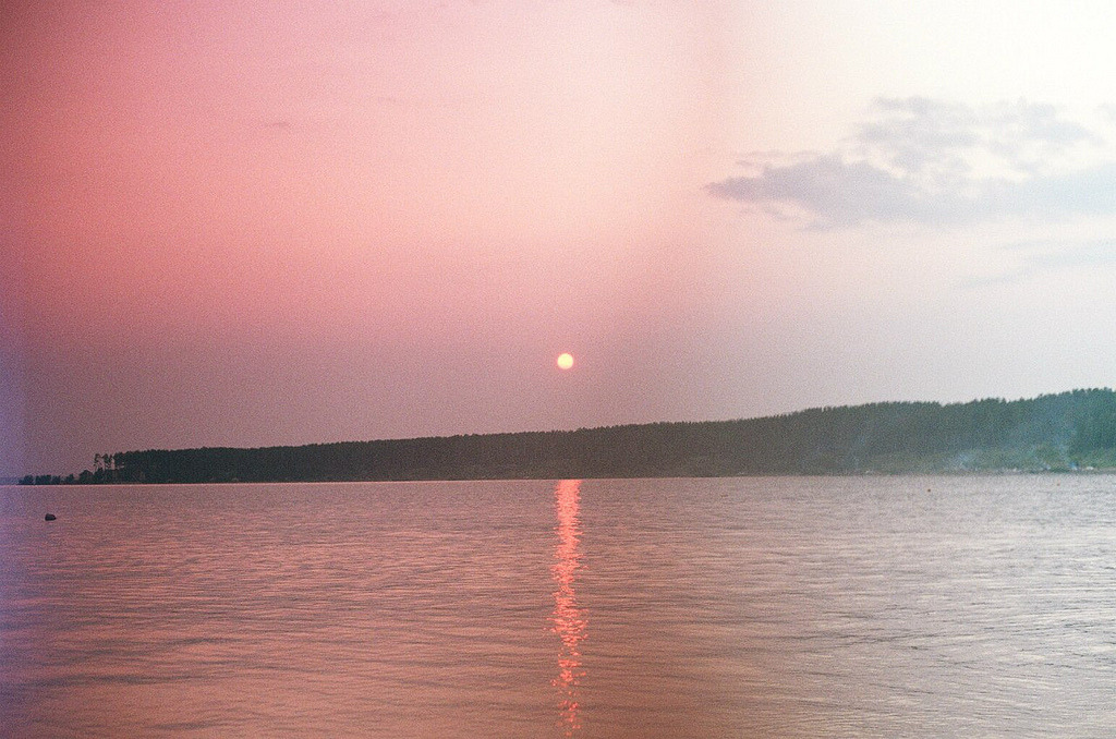 magicsystem:  (by sugar_otter)