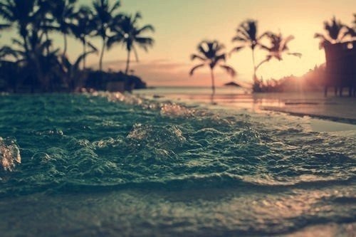 thelovenotebook:  .