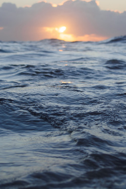 plasmatics:  Brighton December Sunrise by Kevin Meredith 