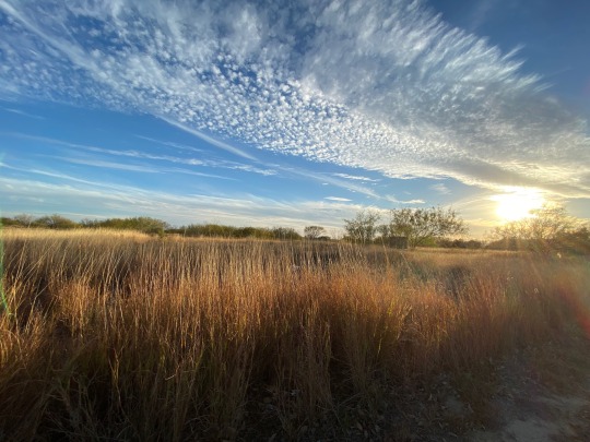 laredo texas scenery laredo texas scenery