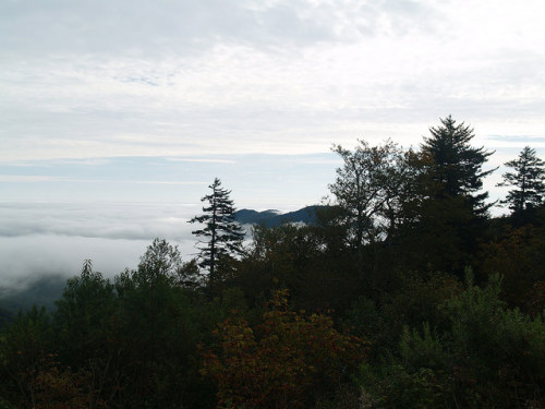 Where the Earth and Sky Meet, Blueridge Pkwy by tyrmc74 on Flickr.