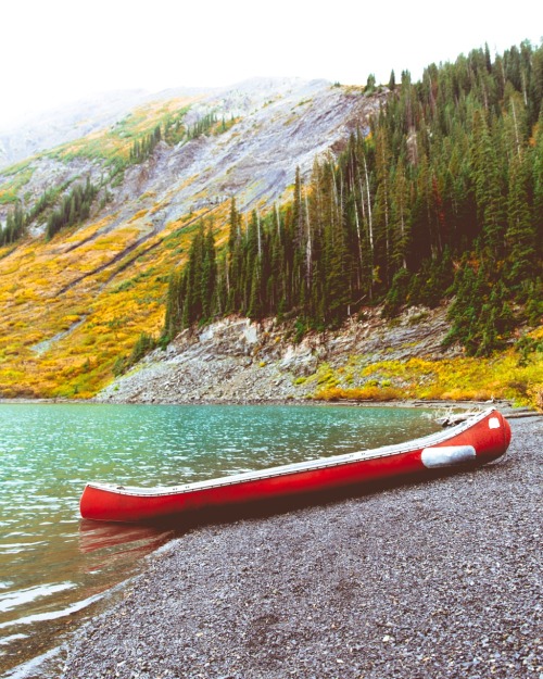 Fall in Colorado