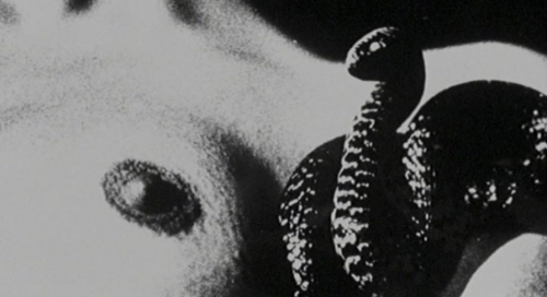 vivipiuomeno1:    Baba Yaga - Italy, 1973 - dir. by Corrado Farina   