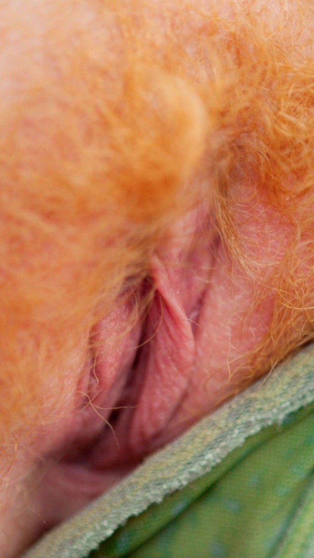 Exploring hairy pussies, pits and couples