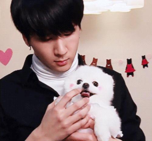 dog lover Ravi (and Ravi lover dogs)