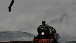 emliaclake:It is the quality of one’s convictions that determines success, not the number of followe
