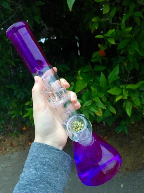 weedplants:  I got a new bong today   BEAUTIFUL GLASS