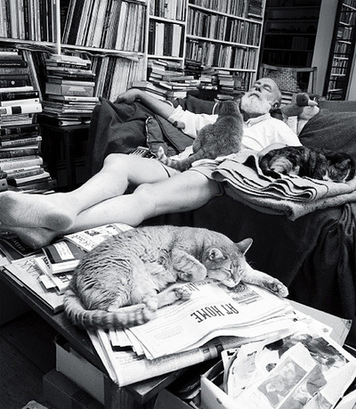  Artistas y sus gatitos   Andrew Warhola: comúnmente conocido como Andy Warhol,