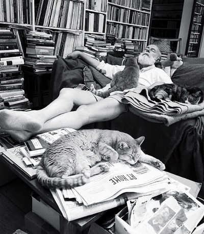 Porn Pics  Artistas y sus gatitos   Andrew Warhola: comúnmente