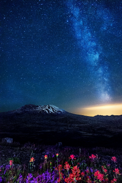 tulipnight:  Mt. St. Helens by ihookem75