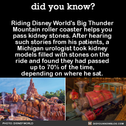 did-you-kno:  Riding Disney World’s Big Thunder  Mountain roller coaster helps you  pass kidney stones. After hearing  such stories from his patients, a  Michigan urologist took kidney  models filled with stones on the  ride and found they had passed