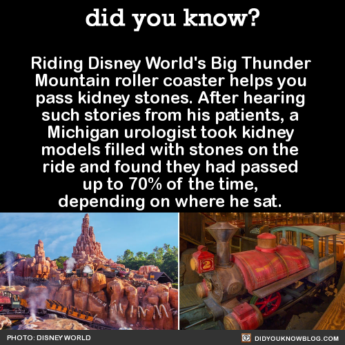 XXX did-you-kno:  Riding Disney World’s Big photo