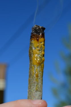 incredible-kush:  joint filled with and dipped