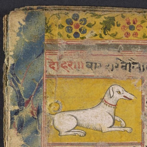 Detail from an Indic manuscript on animal omens, likely carried by the jyotiṣī (astrologer) for cons