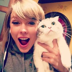 taylorswift:  Meredith is allergic to joy.