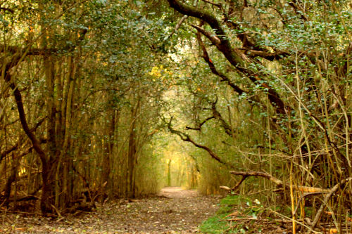 San Martin Park, Entre Rìos, Argentina