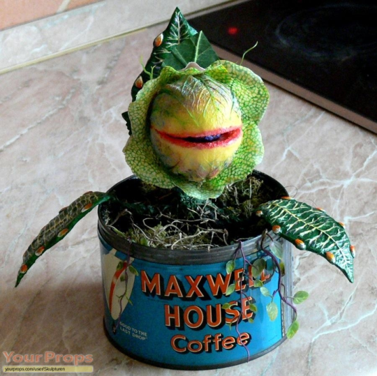 vastderp:  stick-arms:   cremsie:   Hey guys so I was out during the total eclipse of the sun and I was sold this really neat plant and y’know I totally got itbut I have no idea what kind of plant it is and I forgot to ask. Does anyone know what it
