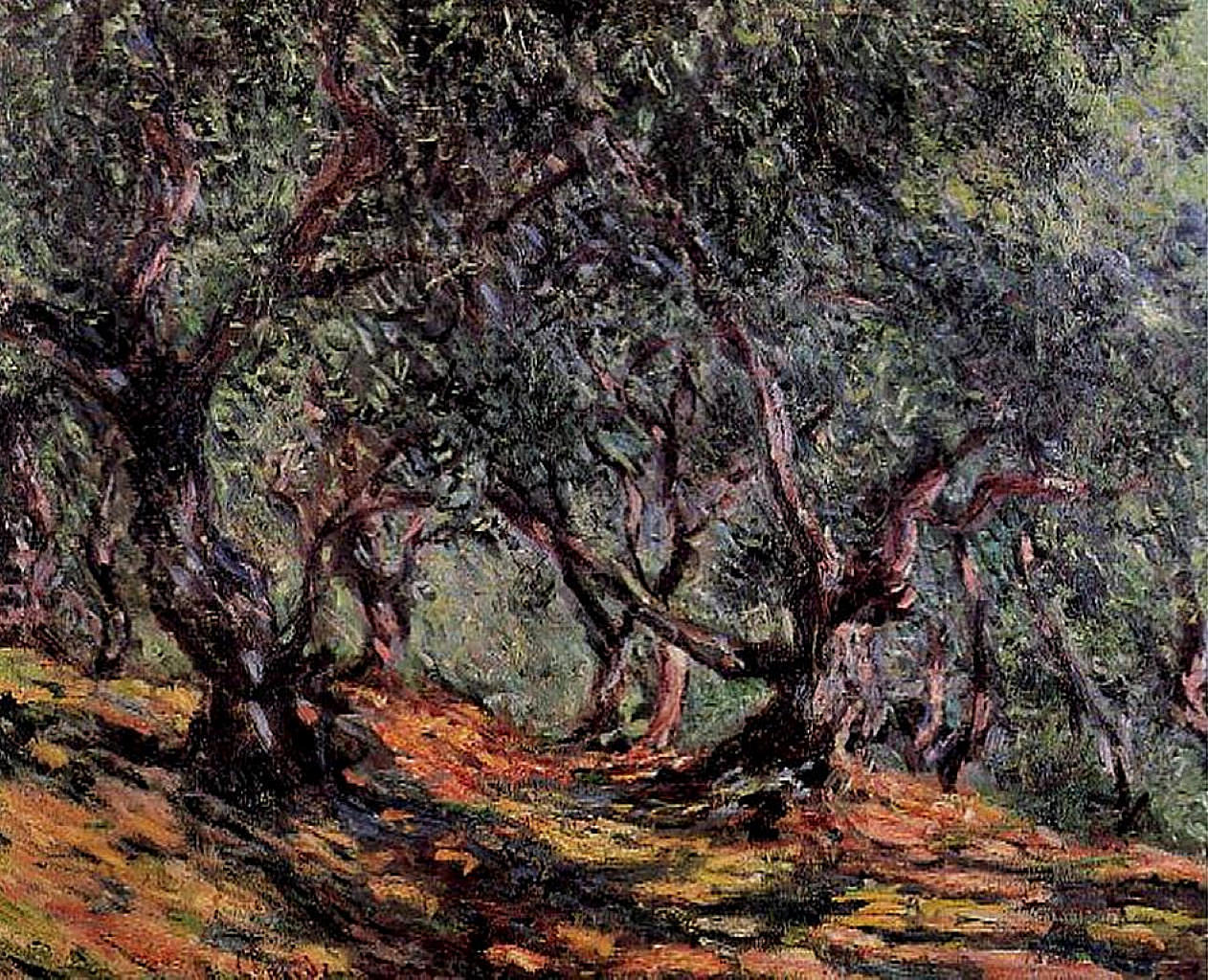 huariqueje:  Olive Trees in Bordigher - Claude Monet 1884 Impressionism 