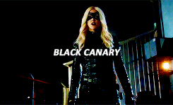 flicitysmoak:  Team arrow + codenames 