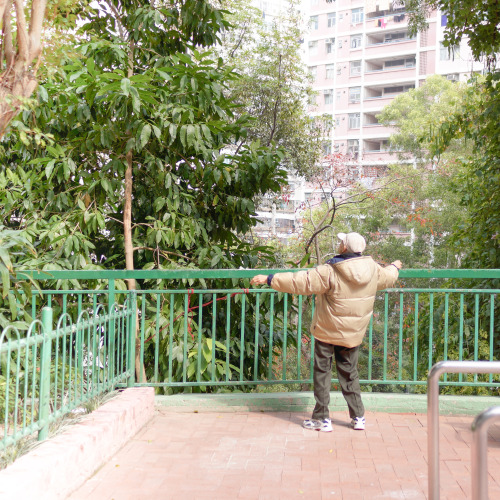 觀塘 • 和樂邨 ｜ Kwun Tong • Wo Lok Estate不華麗，沒花巧，空間簡樸卻寬廣實用。密度相對低的樓宇分佈，令陽光灑滿每個角落，邨內居民不用花費分毫就能享受得到溫暖與快樂。