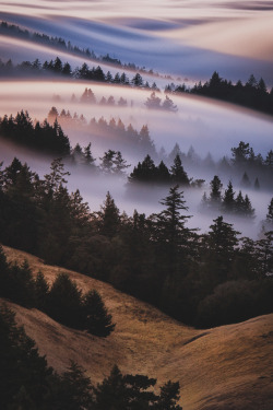 el-mo-fo-to: s l i d e | marin county, california © Lorenzo Montezemolo [ instagram | tumblr | website ] 