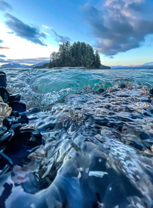 amazinglybeautifulphotography:High Tide In Southeast (Juneau, Alaska)[OC]{2840X3871} - Author: Quasa