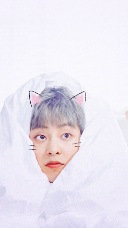 kim minseok lockscreen/wallpaper like/reblog if you save/use, thank you❀