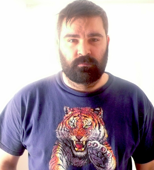 The Bear Standard 2.0