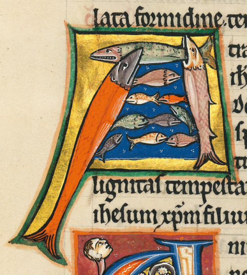 discardingimages:fishy initialPsalter, Oxford ca. 1210München, Bayerische Staatsbibliothek, Clm 835,