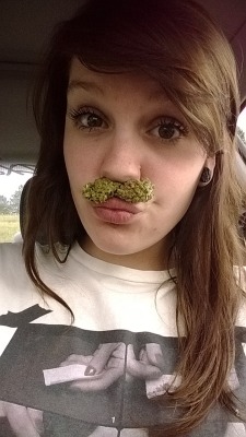 mrs-420:  shatter-dabber:  :D  this was one
